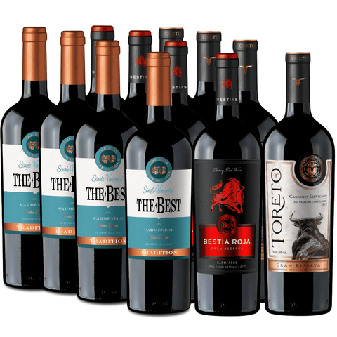 Pack 12 vinos| Lo mejor de las bestias  |Carmenere|750cc