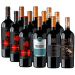 Pack 12 vinos| Vinos Reserva, Gran Reserva y Premium |750cc