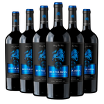 Bestia Azul | Reserva | Cepas Tintas | Caja 6 Botellas 750 cc