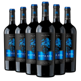 Bestia Azul | Reserva | Cepas Tintas | Caja 6 Botellas 750 cc