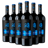 Bestia Azul | Reserva | Cepas Tintas | Caja 6 Botellas 750 cc