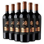 Bestia Negra | Reserva De Familia | Cepas Tintas | Caja 6 Botellas 750 cc