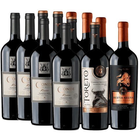 Pack 12 vinos| Reserva, Gran Reserva, Premium| Carmenere| 750cc