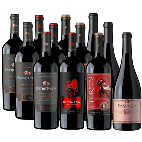 Pack 12 vinos| Reserva y Gran Reserva | Carmenere|