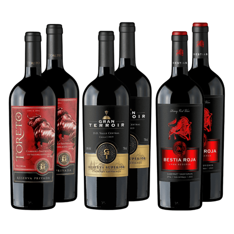 Pack Mix Gran Reserva | Cabernet Sauvignon| Caja 6 Botellas 750 cc