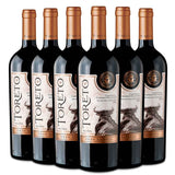 TORETO | Gran Reserva | Cepas Tintas | Caja 6 Botellas