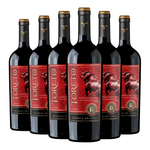 Toreto | Reserva Privada | Cepas Tintas | Caja 6 Botellas 750 cc
