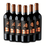 Bestia Negra | Reserva De Familia | Cepas Tintas | Caja 6 Botellas 750 cc