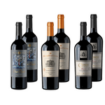 Pack Mix Vinos | Reserva | Cepas Tintas | Caja 6 Botellas 750 cc