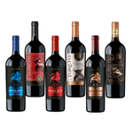 Pack Mix Bestias - Toreto | Cabernet Sauvignon | Caja 6 Botellas 750 cc