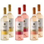 Pack Mix Sabores Dolce Ricco | Cocktail | Caja 6 Botellas 750 cc