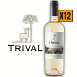 Trival | Sauvignon Blanc | Caja 12 Botellas 750 cc