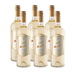 FRIZZANTE A&J WINERY | Caja 6 Botellas 750cc