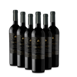 TAURON | Gran Reserva | Cabernet Sauvignon | Caja 6 Botellas